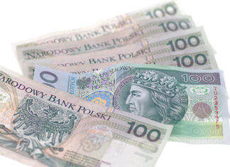 Na co Polacy najczęściej pożyczają pieniądze?
