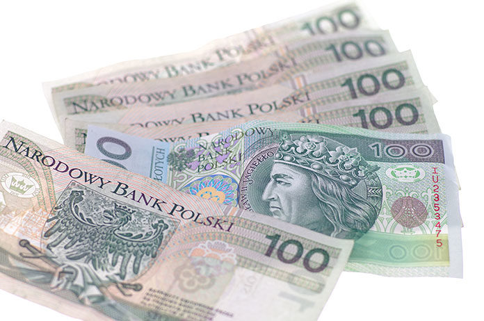 Na co Polacy najczęściej pożyczają pieniądze?