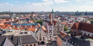 Jakich zabawek nie dawac psu?