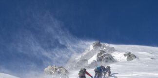 Co można podać na zimna płytę?