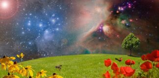 W którym roku było powstanie Mahdiego?