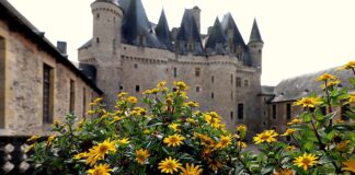 Czy paprykę faszerowaną piecze się pod przykryciem?