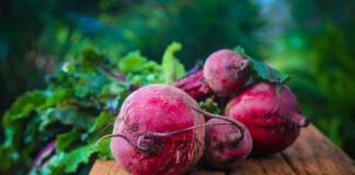 Czy buraki czerwone podnoszą poziom cukru?