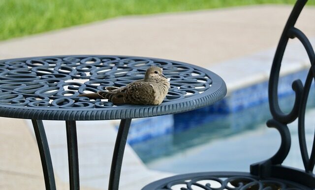 Co ile dni wymieniac wodę w basenie?