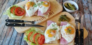 Czy Max to imię dla psa?