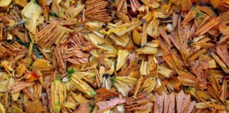 Po co Temperowac czekoladę?