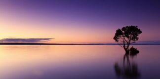 Jak często wymienia się wodę w akwarium?