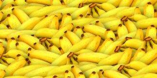 Czy można jeść banany przy zapaleniu błony śluzowej żołądka?