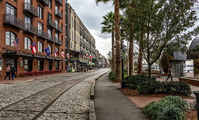 Jak nazywa się najstarsze drzewo na świecie?