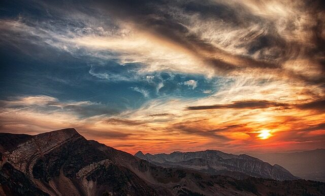 Czy złota rybka spełnia życzenia?