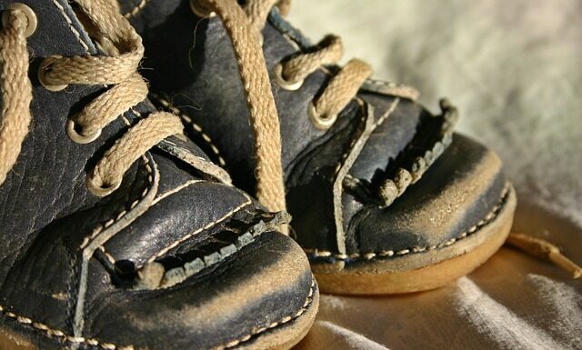 Jak nauczyć psa pływać?