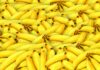 Dlaczego banany Promieniuja?