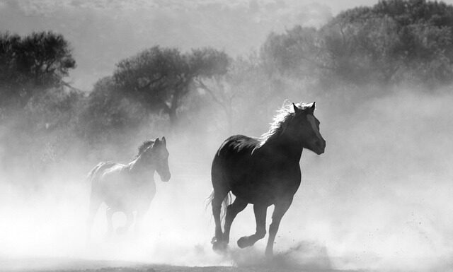 Czy można palić sam aromat? Czy można palić sam aromat?