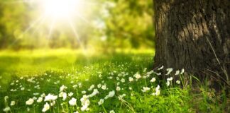 Do czego służy niebieskie światło w akwarium?