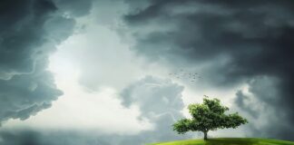 Jak uzyskac zielony kolor ciasta?