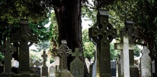 Co zamiast wosku do samochodu?