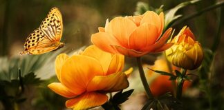 Czy częste mycie auta szkodzi?