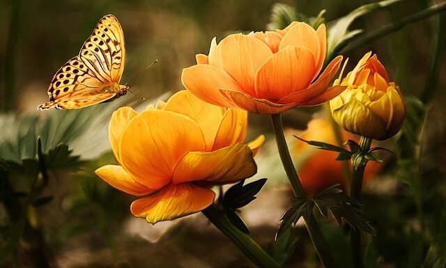 Czy częste mycie auta szkodzi?