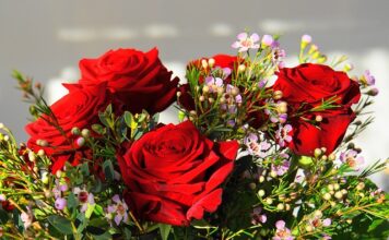 Ile kosztuje najdroższy samochód?