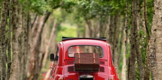 Ile pali Fiat Panda w Gazie?