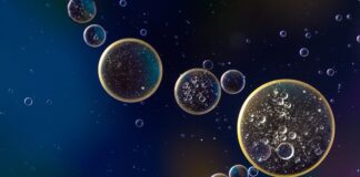 Ile oleju do silnika Seat Ibiza?