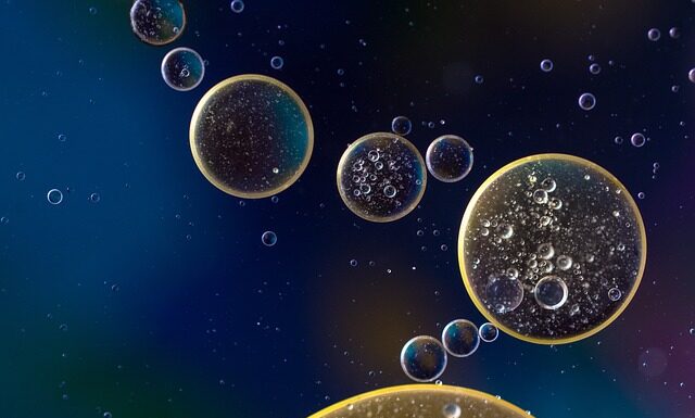 Ile oleju do silnika Seat Ibiza?