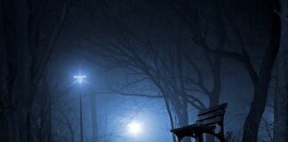 Czym dysponuje polska armia 2023?