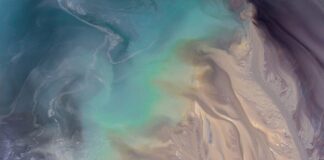 Jakie oszczędne auto?