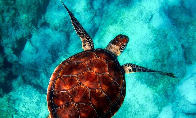 Jak myć auto z powłoką ceramiczną na myjni bezdotykowej?