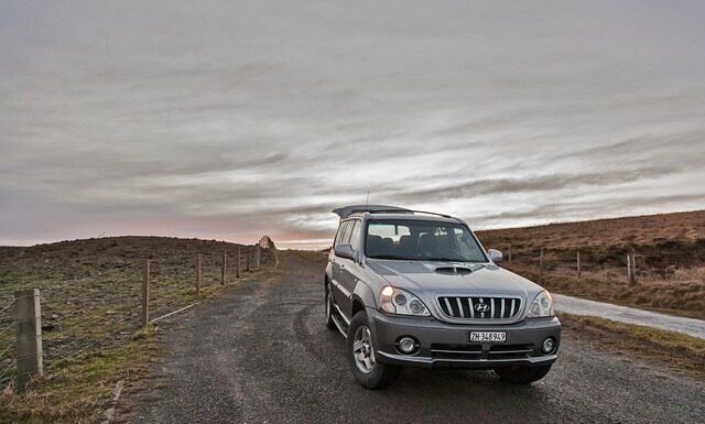 Kto jest właścicielem Hyundai?