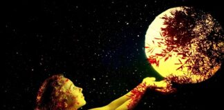 Czy warto kupić KIA Venga?