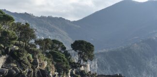 Ile kosztuje samochód Suzuki Swift?