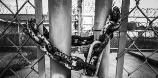 Czy Hyundai i20 ma ocynkowane blachy?