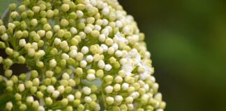 Czym się różni tuleja mokra od suchej?