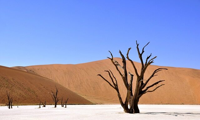 Ile kosztuje ceramika?
