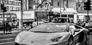 Skąd nazwa Aventador?