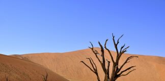 Ile wytrzymuje ceramika na aucie?