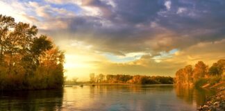 Co niszczy koło dwumasowe?